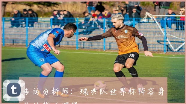 专访分析师：瑞典队世界杯阵容身价的背后逻辑
