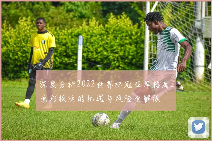 深度分析2022世界杯冠亚军格局:竞彩投注的机遇与风险全解读