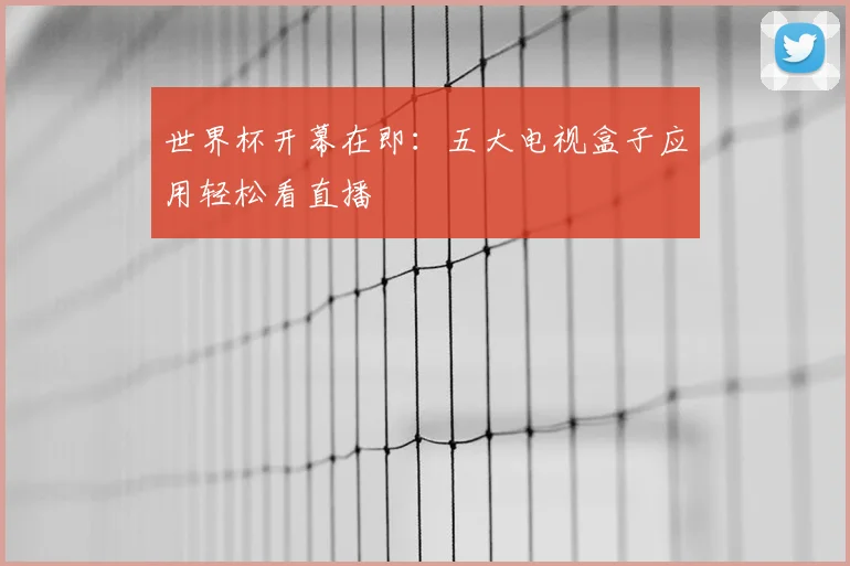 世界杯开幕在即：五大电视盒子应用轻松看直播