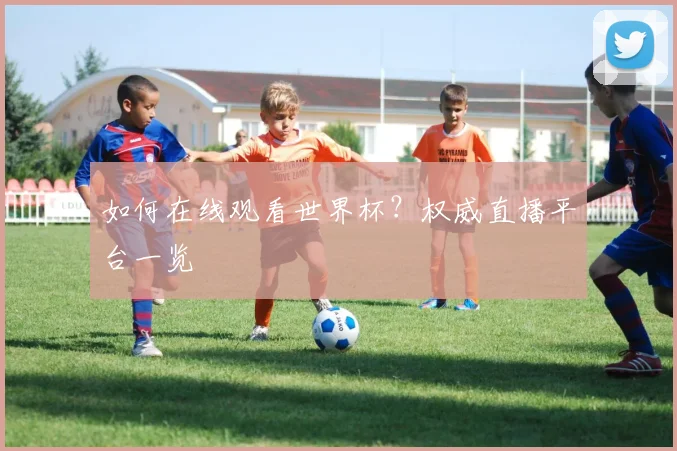 如何在线观看世界杯？权威直播平台一览