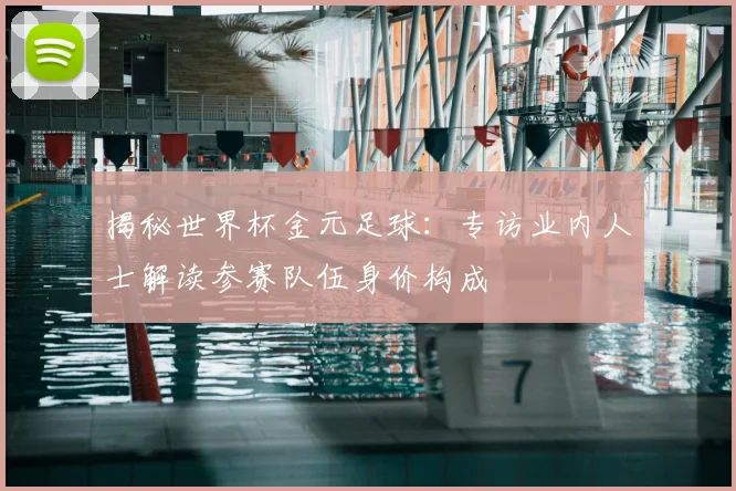 揭秘世界杯金元足球：专访业内人士解读参赛队伍身价构成