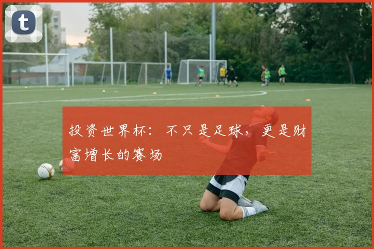 投资世界杯:不只是足球,更是财富增长的赛场