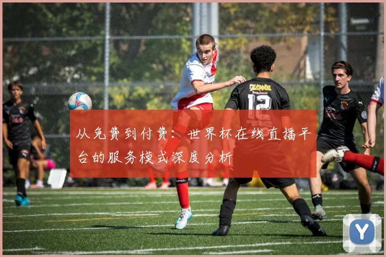 从免费到付费：世界杯在线直播平台的服务模式深度分析
