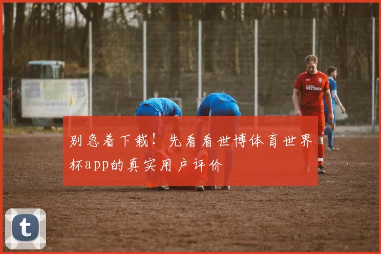 别急着下载！先看看世博体育世界杯app的真实用户评价