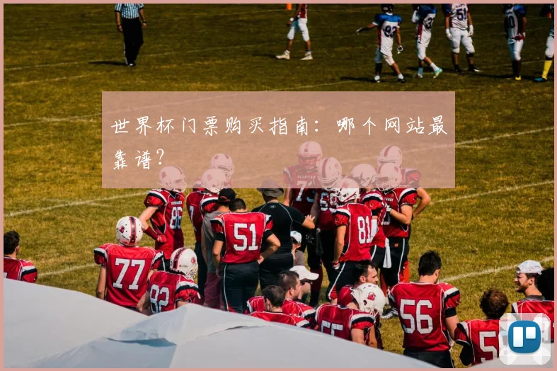 世界杯门票购买指南:哪个网站最靠谱?