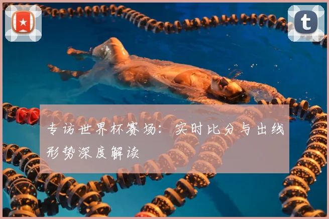 专访世界杯赛场：实时比分与出线形势深度解读