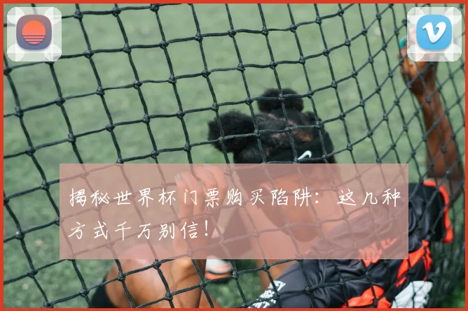 揭秘世界杯门票购买陷阱：这几种方式千万别信！