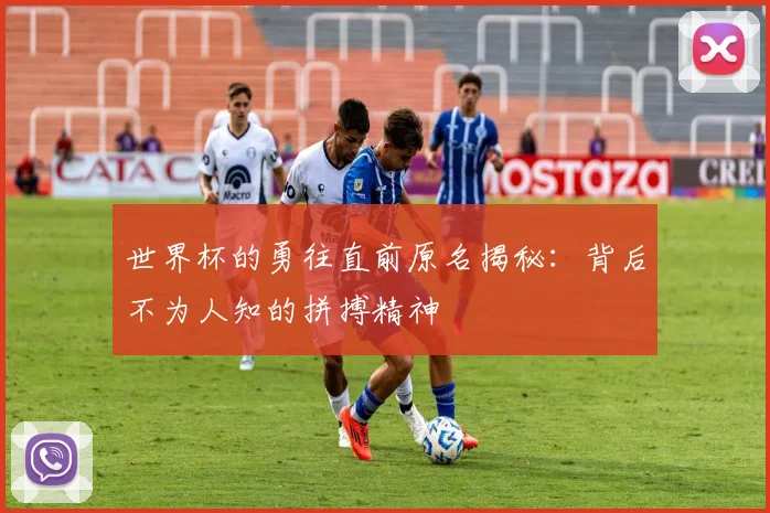 世界杯的勇往直前原名揭秘：背后不为人知的拼搏精神