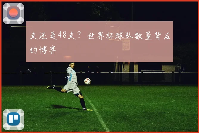 支还是48支？世界杯球队数量背后的博弈